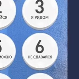 �����, ������, 42 ����