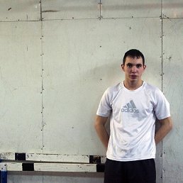 ����, 33 ����, �����������