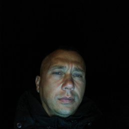 , 37, 