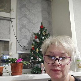 , 61, 