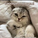 ���� ������, ������, 54 ���� - ��������� 14 ������� 2025 � ������ ���� ����������