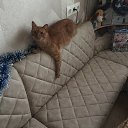 ���� ��������, ������, 39 ��� - ��������� 20 ������� 2024 � ������ ���� ����������