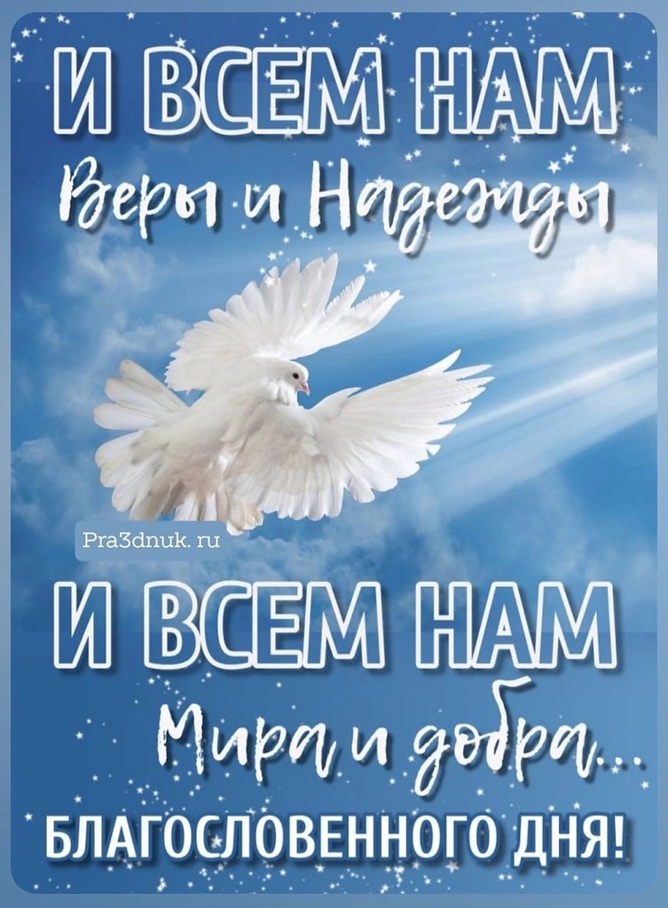 ����������� � ���������, �������� �� ������ ����. - 26 ����� 2024 � 23:30
