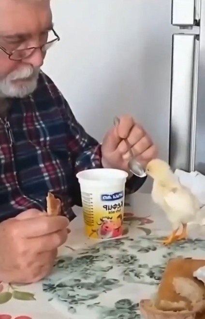 �� ������ ����� ����� �������� ����� ������� - 2