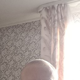 �������, �����, 43 ����