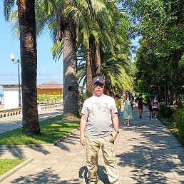 ����, ��������, 38 ���