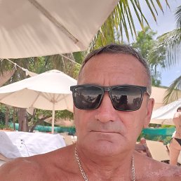 , 54, 