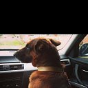 ���� Kemal, �������, 64 ���� - ��������� 17 ��� 2026