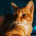 ���� �������, ������� (������������ �������), 56 ��� - ��������� 12 ������� 2024