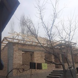 ����, �����-���������, 40 ���