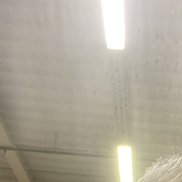 �������, 44 ����, ������