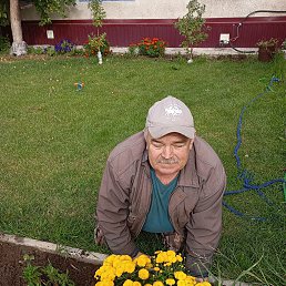 ���� �����, ������, 65 ��� - ��������� 15 ����� 2026