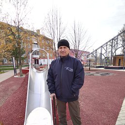 , 54, 