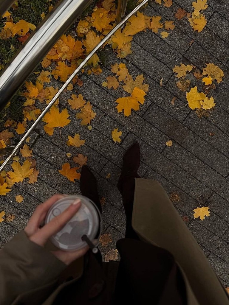 ��� ���� ������� ���-����� � ������. ����������������� ����������� ����� ����� ������ ���������! ... - 4