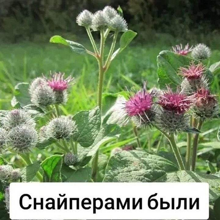       - 17  2025  14:32 - 2