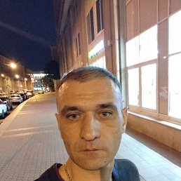 ���� ������, �����-���������, 43 ���� - ��������� 11 ������ 2025