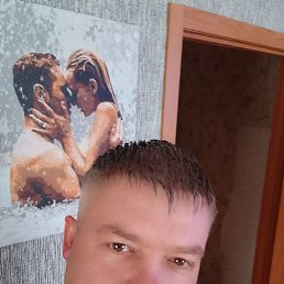 ������, 41 ���, ������