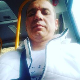 , 41, 