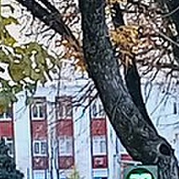 ���������, ������, 79 ���