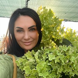 , 54, 
