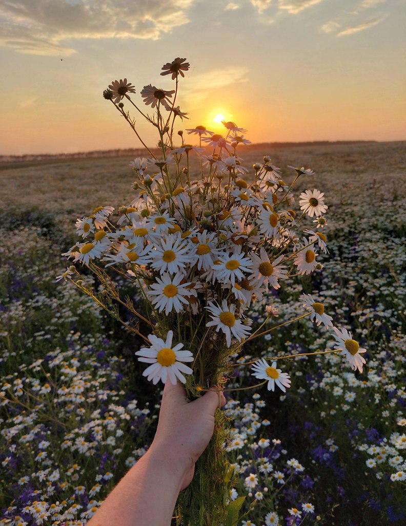 Вдруг однажды понимаешь, Что напрасно гонишь время. Что чуть-чуть побольше знаешь. Что забот приятно ...