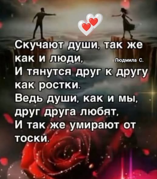 Vera Ivanovna - 7 ������� 2026 � 01:21