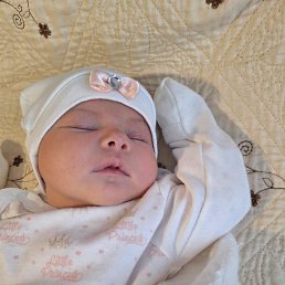 ���� �����, ������, 29 ��� - ��������� 14 ������ 2023