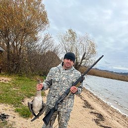 �������, ��������, 44 ����