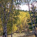 ���� ����, ����, 75 ��� - ��������� 21 �������� 2024 � ������ ���� ����������