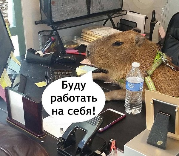 Вот так вот, будете жалеть что мы ушли - 2