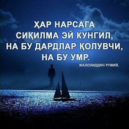 ��������., �����������, 33 ����