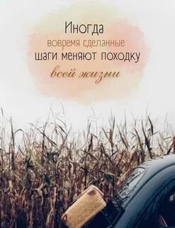 ��� ��� ����.1. �� � ���� �������� - ������ � �����, ����� � ������ ���������� � ����� ������� ...
