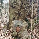 ���� ����, ���������, 51 ��� - ��������� 2 ������ 2025 � ������ ������ ��������