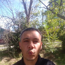 , 37, --