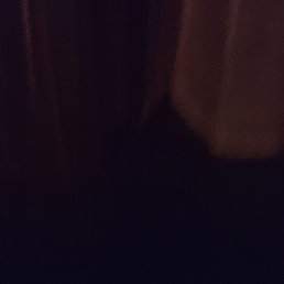 ���� ��������, ������, 44 ���� - ��������� 13 ������� 2024