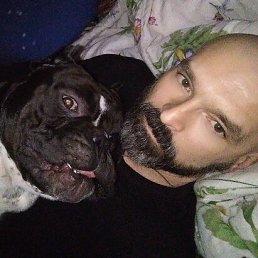 �������, 47 ���, �������