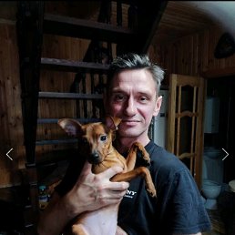 ���� �������, �������-�����, 56 ��� - ��������� 14 ������� 2025