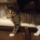 ���� ����@, ��������� - ��������� 25 ������ 2025 � ������ ������ ��������