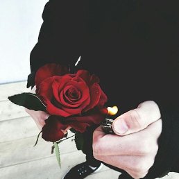 ��������, ������������, 27 ���