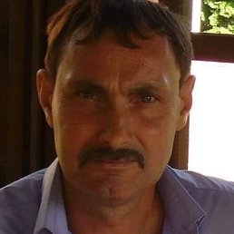 �����, ������, 54 ����