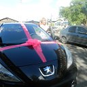 ���� ������� �������, ������������ - ��������� 17 ������� 2024 � ������ ���� ����������