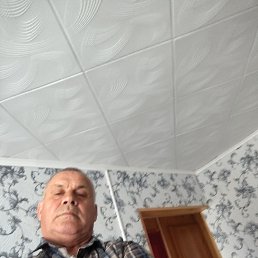 , 56, -