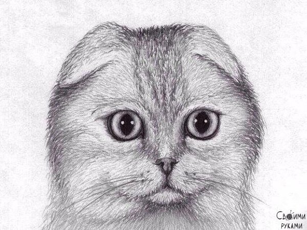 ������ ������ ������� ����������