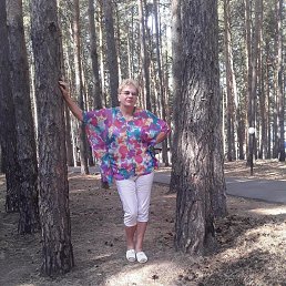 , 65, 