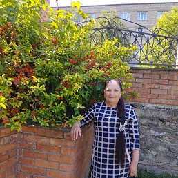 , 61, 