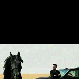 �����, �������, 43 ����