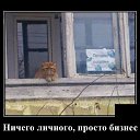 ���� ���������, �������, 52 ���� - ��������� 9 ����� 2026 � ������ ������ ��������
