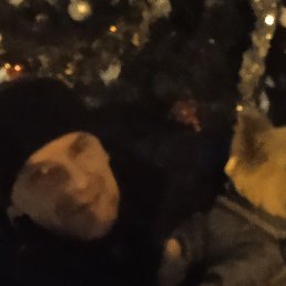 �����, ������, 49 ���