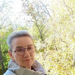 ���� ���, ������ - ��������� 8 ������� 2025