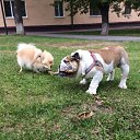 ���� ��������, ������, 36 ��� - ��������� 6 ��� 2024